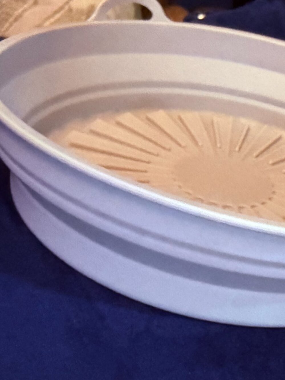 Silicone Collapsible Air Fryer Basket – Excellent Condition